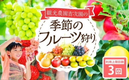 観光農園吉次園の「旬を味わうフルーツ狩りパスポート」（計3回）