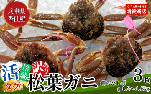 兵庫県香住産 訳あり 活 松葉がに 生 3枚🦀🦀🦀