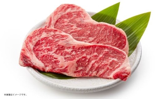 静岡県産 牛ロースステーキ 約250g×2パック（計約500g）