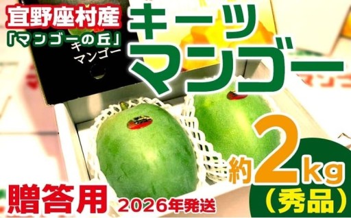 【2026年発送】贈答用　宜野座村産キーツマンゴー「マンゴーの丘」秀品　約2kg