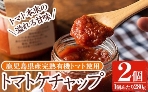 《数量限定》トマトケチャップ2個(280g×2個)【雲月農園】