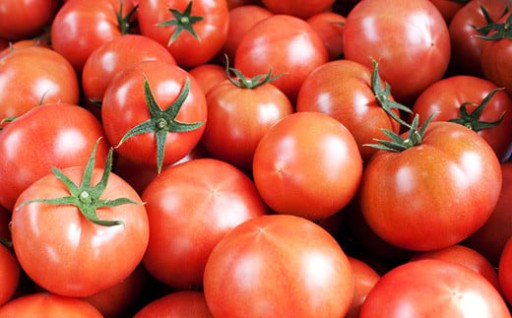 寒くなりトマトが美味しくなってきました！