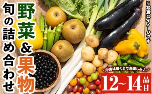 野菜と果物旬の詰め合わせ(12～14品目) 【鹿児島県経済農業協同組合連合会】