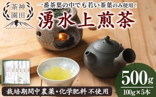 《数量限定》栽培期間中農薬・化学肥料不使用！湧水上煎茶 計500g(100g×5本)【神田茶園】