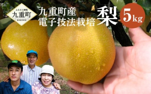 九重町産 電子技法栽培 梨 5kg【2026年9月上旬～12月上旬発送予定】