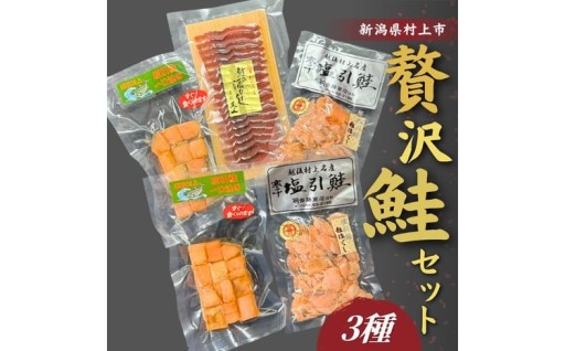 【訳あり】【数量限定】越後村上 贅沢鮭3種セット