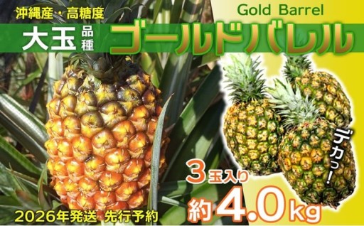 【2026年発送】先行予約 ゴールドバレル 3玉 （約4.0kg）