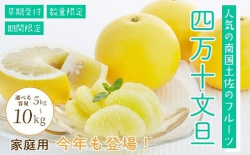 締切間近🍊甘くてしっとりな文旦