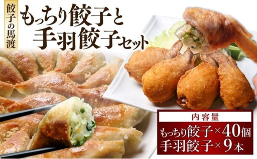 餃子の馬渡馬渡のもっちり餃子40個と手羽餃子9本セット