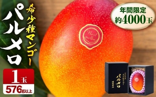 【宮崎県宮崎市】宮崎県産希少種マンゴーパルメロ🥭