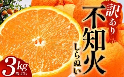 【数量限定・訳あり】しらぬい 約3㎏(10～12玉) 