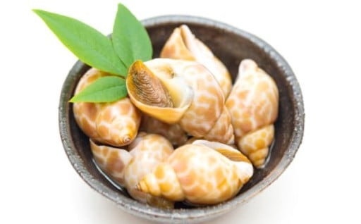 ✨✨日本海の荒波が育んだ「海の宝石」。漁師直送、鮮度抜群のばい貝！✨✨