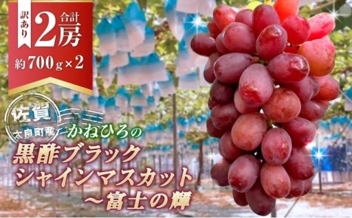 【訳あり】かねひろの黒酢ブラックシャインマスカット 富士の輝き 約700g × 2房