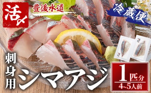 シマアジ 刺身用 ブロック 冷蔵(1匹分・4-5人前)