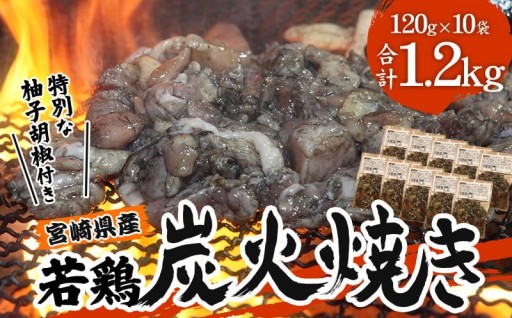 【宮崎県宮崎市】若鶏炭火焼き冷凍パック