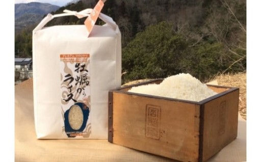 かきがらライスプレミアムコシヒカリ 精米