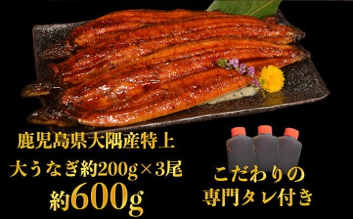 特上うなぎ 600g(200g×3尾) タレ付き