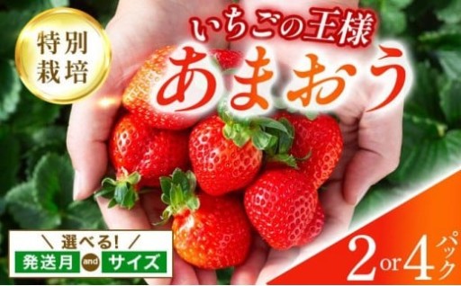 【時期と量が選べる】福岡県産 特別栽培『あまおう』