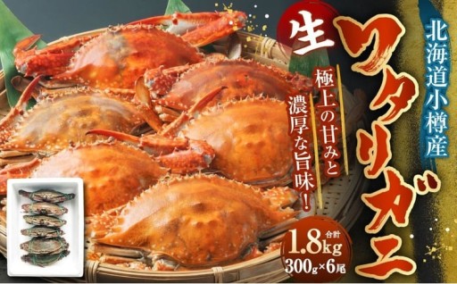 北海道 小樽市産 ワタリガニ 1.8kg (300g×6尾) 