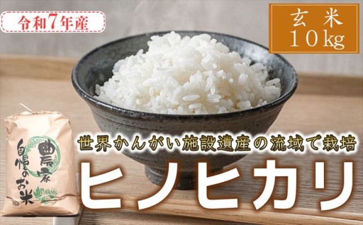 【玄米】最短 翌日発送 令和7年産 ヒノヒカリ 八千種米 お米 10kg