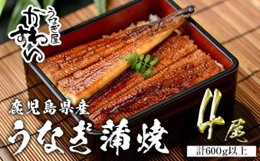 ＜うなぎ屋かわすい＞鹿児島県産 国産うなぎ蒲焼 (計600g以上 / 1本あたり150～169g×4本)