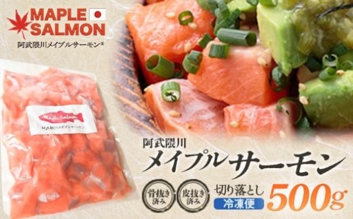 阿武隈川メイプルサーモン 切り落とし500g 