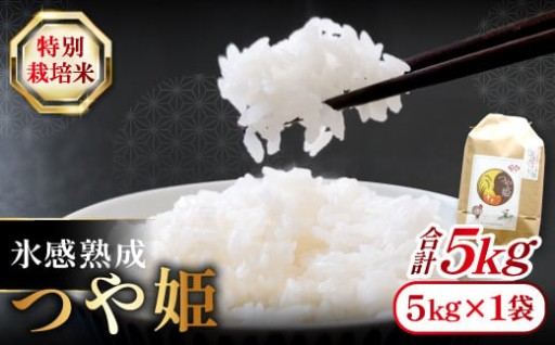 島根県大田市の豊かな自然が育んだ、珠玉のブランド米。氷感熟成「つや姫」5kg🍚✨✨