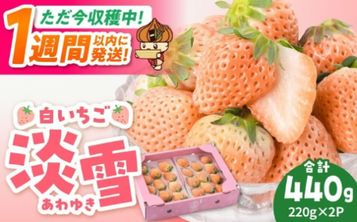 【スピード発送】届いて感動！幸せ運ぶ白いちご