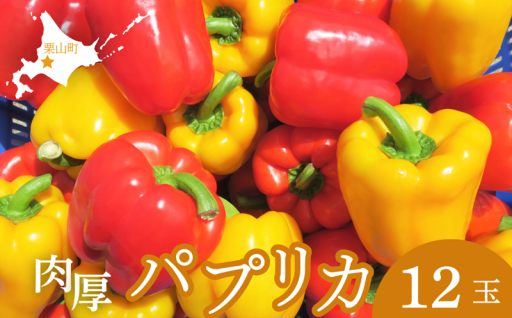 【先行予約】ツヤツヤずっしり！国産パプリカ