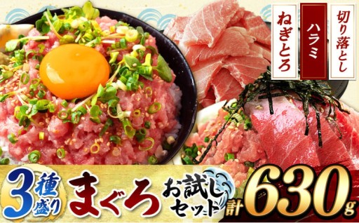 大人気 ! 天然 まぐろ 3種 盛り お試し セット 