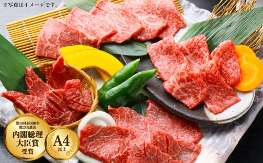 長崎和牛 すき焼き・焼肉セット 1kg(各500g×2) 食べ比べスライス肉【川下精肉店】[OAA003]