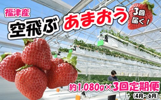 福津産『空飛ぶあまおう』約1080g×3回定期便