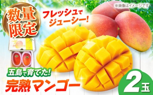 【先行予約】6月末から発送予定！栄養満点 五島産完熟マンゴー