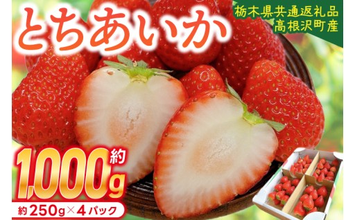 栃木県産 とちあいか 合計1,000g 家庭用