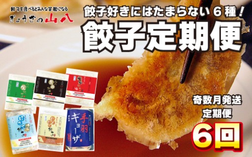 ぎょうざの山八★餃子定期便（年6回奇数月）