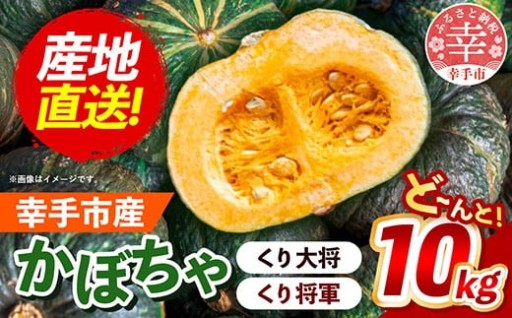 【🎃ど～んと！大容量！🎃】きあり農園の幸手市産 かぼちゃ 約10kg