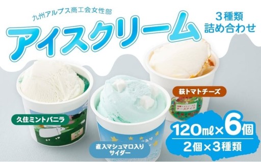 九州アルプス商工会女性部アイスクリーム 計6個入（各種2個入） 
