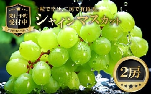 一粒で幸せ✨二房で有頂天✨シャインマスカット2房🍇💕