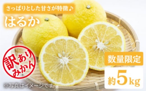 みかん 【3月上旬より順次発送】 訳あり はるか 約5kg＜中尾果樹園＞ [CEL004] 