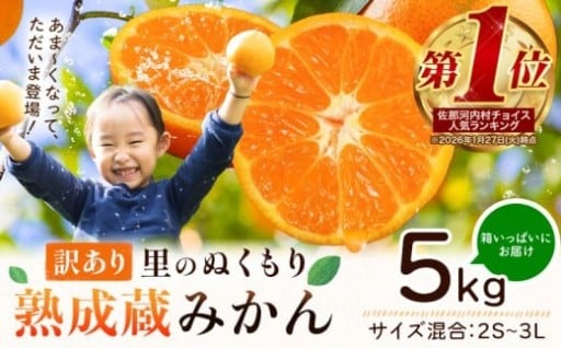 ★今シーズン発送！★ランキング入賞！ご家庭用みかん