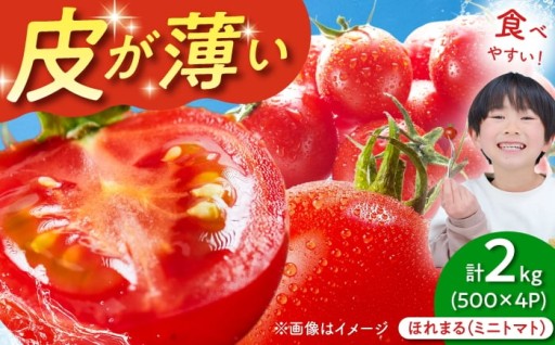 感動の薄皮と濃厚な甘み。ミニトマト・ほれまる🍅