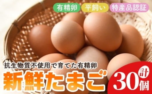 石黒たまご園の平飼い有精卵 30個入り