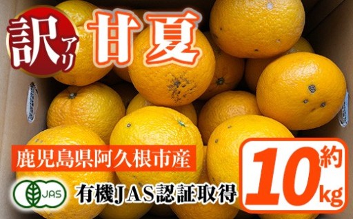 訳あり！有機JAS 甘夏(約10kg)