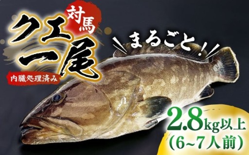 豪快に味わう！幻の高級魚クエ丸ごと1匹