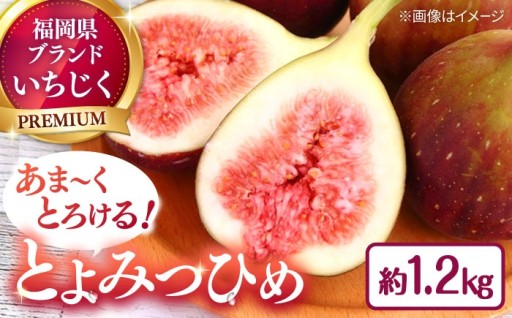 あま～く！とろける♪ 高糖度プレミアムいちじく