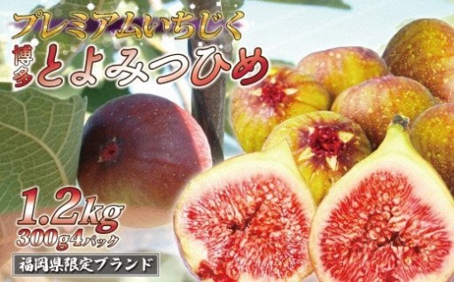 福岡県産とよみつひめ　約300g×4パック