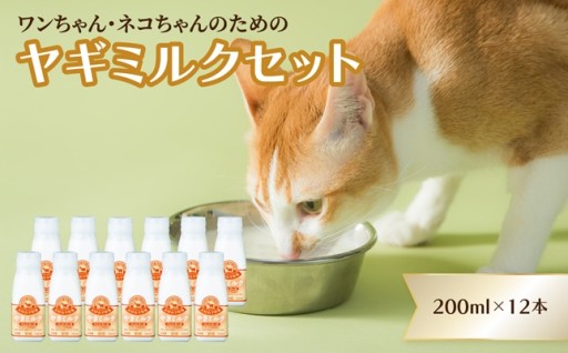 🐶🐱ワンちゃん、ネコちゃんの大好きなヤギミルク🥛✨