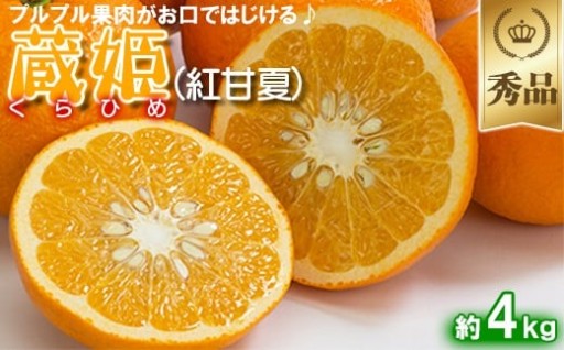 今村農園の蔵姫くらひめ（紅甘夏）約4kg【秀品】