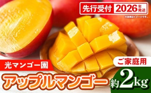 【NEW】光マンゴー園の家庭用アップルマンゴー約2kg【2026年発送】
