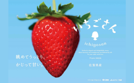 今が旬！ブランド苺「いちごさん」